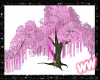 *W* Cherry Blossom Tree