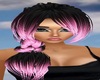ELIANA BLACK/PINK