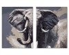 Elephant  2-Peice Canvas