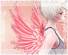 Tiny Angel Wings |Pink