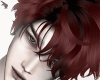 l Sinner red