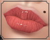 * Zell Lips 6 Permanent