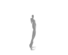 Loong scaler