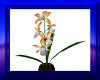 Tri-Colored Orchid