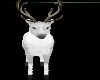 reindeer with poses