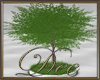 Indoor Outdoor Tree
