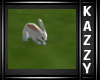 }KR{ White Rabbit