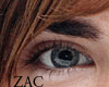 Zac Efron Lover's Dream