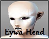 Eywa Navi Head Anyskin