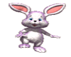 RO.Rabbit