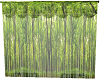 curtain forest