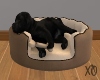 Sleeping Pupper V2