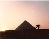 Pyramid Sunset with Tree