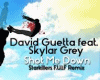 DGuetta – Shot Me Down