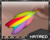 |H Rainbow Feathers