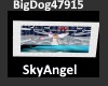 [BD]SkyAngel