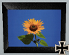 [RC] Sunflowerpicture