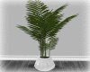 [Luv] Plant
