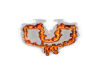 U Fire Neon sign