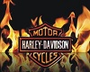 Harley Davidson Couch