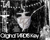 Original TARDIS Key