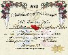 Kittster Wed Certificate