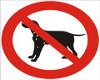 Sign no dogs allowed