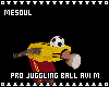 Pro Juggling Ball Avi M