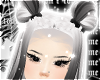 Heina
