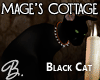 *B* Mage's Black Cat