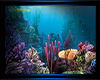 {CK} Ocean Picture Frame