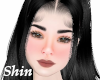 Shin Head