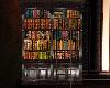 Antique Library Bookcase