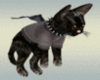 Flying Winged Cat