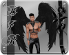 [BIR]Black Wings