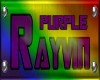 Rayvin's Pride Collar Pu