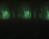 Eerie Forest Night