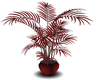 (MSis)Red Potted Plant