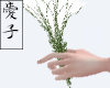 Aoi | Herbal grass