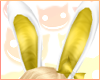 ~R~ Party bunny ears ylw