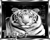 *TR*Tiger Picture Framed