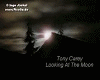 looking-at-the-moon