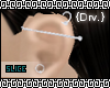 [s]Ear Piercings Drv.