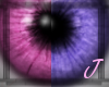 [JMRG] Violet Pink 2Tone