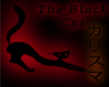 The Black Cat Club