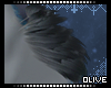 :0: Flaw Hip Fur