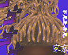 zebagu blonde