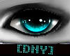 [DNY] Blue Nice eyes -M