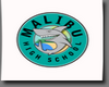 Malibu HighSchool Poster