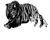 black tiger+sound